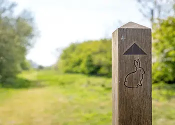 Marlie Holiday Park, New Romney