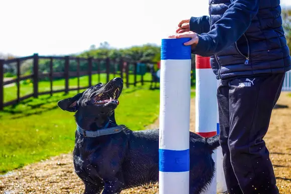 Medmerry Park, Chichester