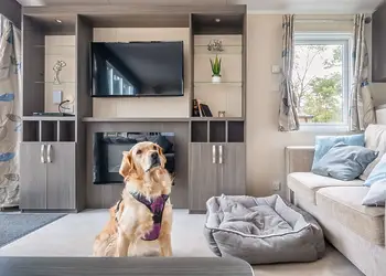 Mendip View at Wookey Hole, Wookey Hole, Wells