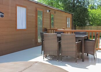 Beech - Mendip View at Wookey Hole, Wookey Hole, Wells