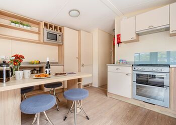 Beech - Mendip View at Wookey Hole, Wookey Hole, Wells