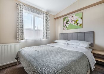 Beech - Mendip View at Wookey Hole, Wookey Hole, Wells