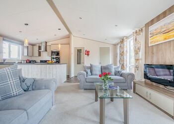 Ivy - Mendip View at Wookey Hole, Wookey Hole, Wells