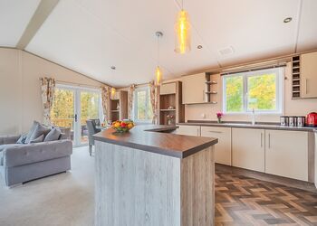 Ivy - Mendip View at Wookey Hole, Wookey Hole, Wells