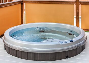 Beech (Pet) - Mendip View at Wookey Hole, Wookey Hole, Wells