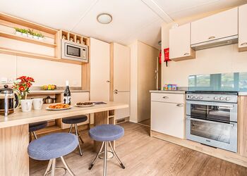 Beech (Pet) - Mendip View at Wookey Hole, Wookey Hole, Wells