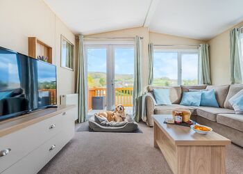 Beech (Pet) - Mendip View at Wookey Hole, Wookey Hole, Wells