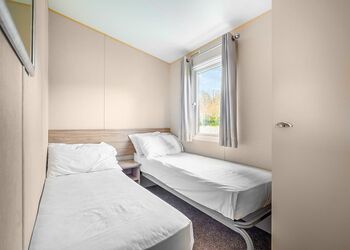 Beech (Pet) - Mendip View at Wookey Hole, Wookey Hole, Wells