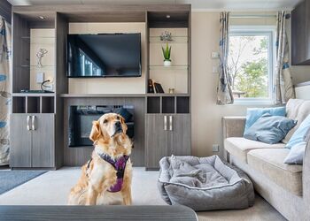 Chestnut (Pet) - Mendip View at Wookey Hole, Wookey Hole, Wells