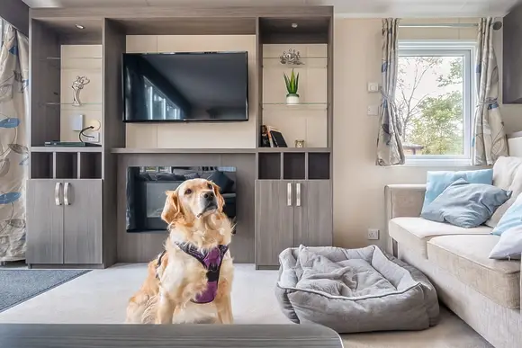 Mendip View at Wookey Hole, Wookey Hole, Wells