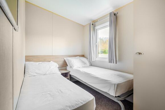 Beech - Mendip View at Wookey Hole, Wookey Hole, Wells