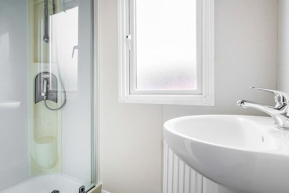 Beech - Mendip View at Wookey Hole, Wookey Hole, Wells