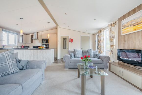 Ivy - Mendip View at Wookey Hole, Wookey Hole, Wells