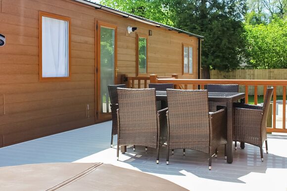 Beech (Pet) - Mendip View at Wookey Hole, Wookey Hole, Wells