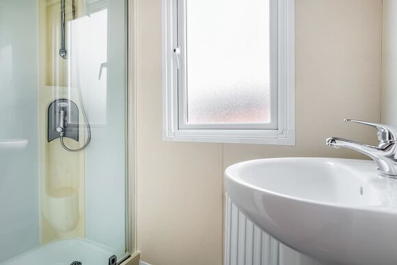 Beech (Pet) - Mendip View at Wookey Hole, Wookey Hole, Wells