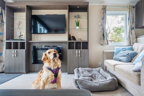 Chestnut (Pet) - Mendip View at Wookey Hole, Wookey Hole, Wells