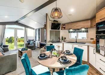 Silver - Malton Grange Country Park, Malton