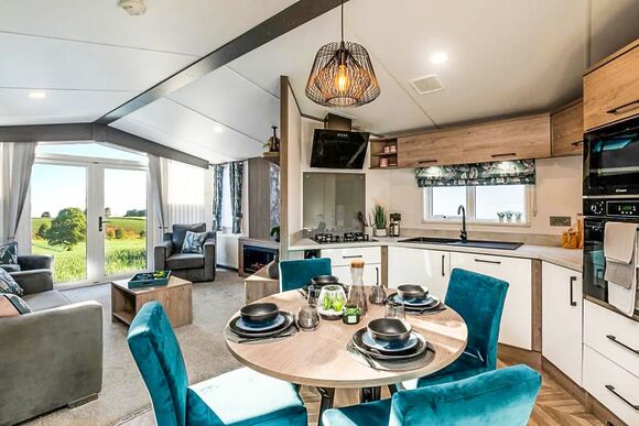 Silver - Malton Grange Country Park, Malton