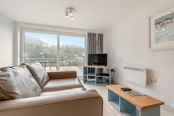 Sea Mist (Pet) - Millendreath Beach Resort, Millendreath, Looe