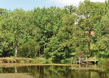 The park setting