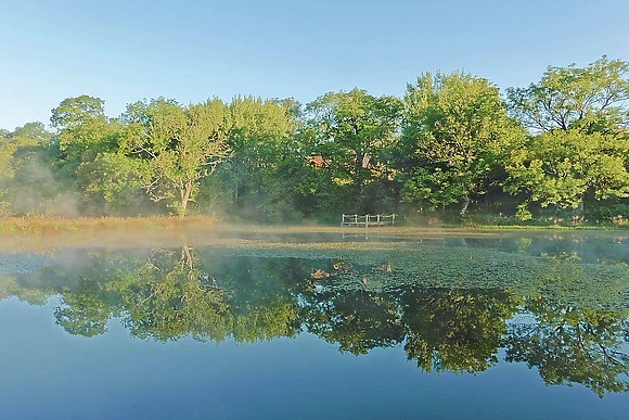 Mill Meadow Lodges