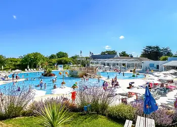 Monkey Tree Holiday Park photo 1
