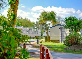 Monkey Tree Holiday Park photo 2