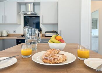 Woodland 2 Bed Hot Tub Holiday Lodge &ndash; Willow - Notter Bridge Holiday Park, Notter Bridge, Saltash