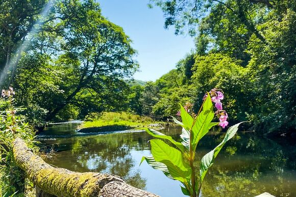 Lynher Retreat - Notter Bridge Holiday Park, Notter Bridge, Saltash