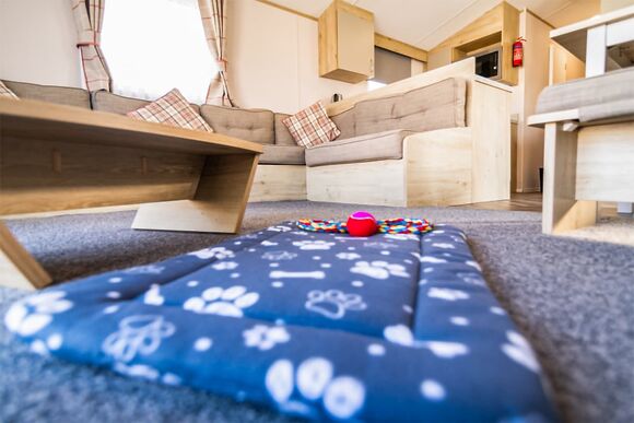 Gold Plus 2 Slps 6 (Decking)(Pet) - Newhaven, Newhaven, Nr Buxton