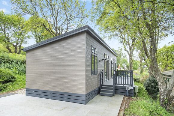 Ammonite - Newlands Holiday Park, Charmouth