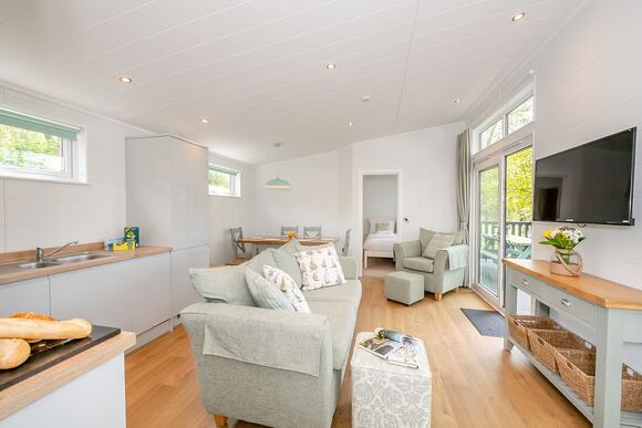 Ammonite - Newlands Holiday Park, Charmouth