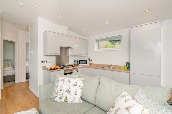 Ammonite - Newlands Holiday Park, Charmouth