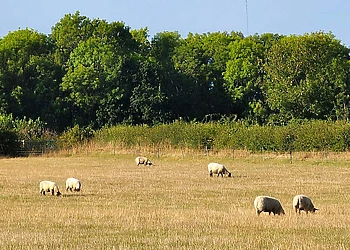 New Oaks Farm Lodges, West Lydford, Nr Glastonbury