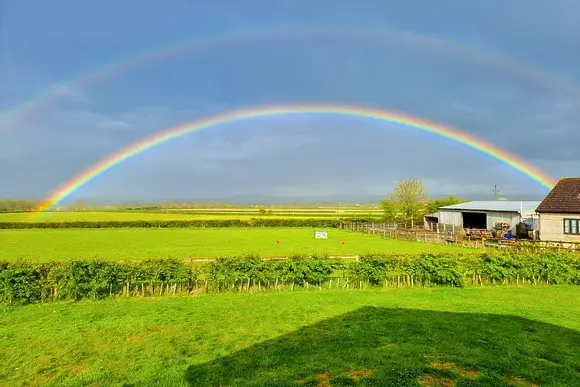 New Oaks Farm Lodges, West Lydford, Nr Glastonbury
