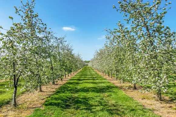 New Oaks Farm Lodges, West Lydford, Nr Glastonbury
