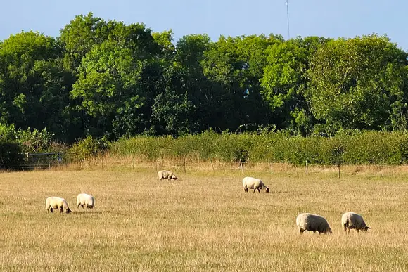 New Oaks Farm Lodges, West Lydford, Nr Glastonbury