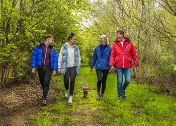 illustrative purposes only  