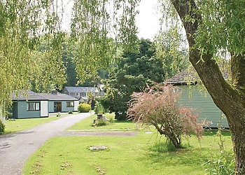 The park setting 