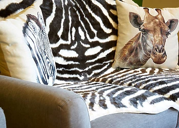 Stylish open-plan living space 