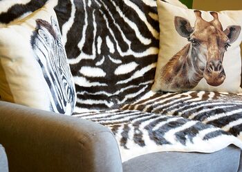 Stylish open-plan living space 