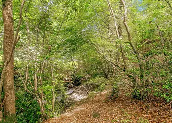 Nant-y-Coed Lodges, Mochdre, Newtown