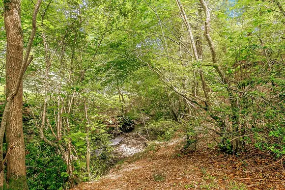 Nant-y-Coed Lodges, Mochdre, Newtown