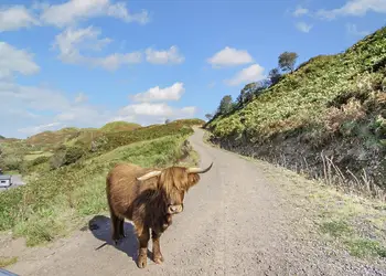 Oban Holiday Park, Oban