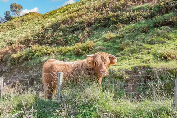 Oban Holiday Park, Oban