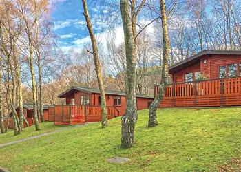 The park setting<br />