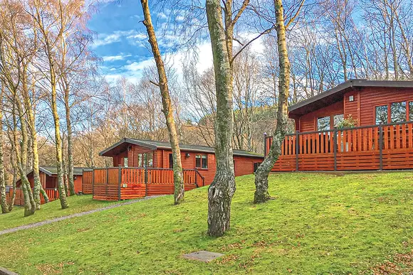 The park setting<br />