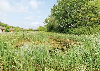 Rosewood Lodge - Oakwood Lodges, South Duffield, Nr York