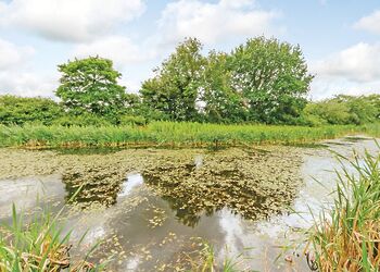 Cherry Tree Lodge - Oakwood Lodges, South Duffield, Nr York