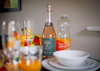 Mulberry Lodge - Oakwood Lodges, South Duffield, Nr York